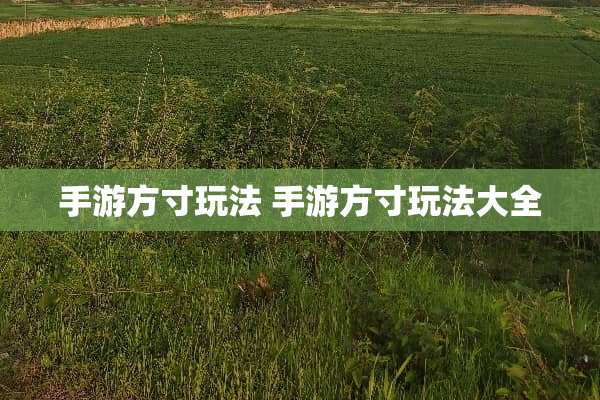 手游方寸玩法 手游方寸玩法大全