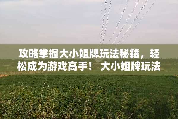 攻略掌握大小姐牌玩法秘籍，轻松成为游戏高手！ 大小姐牌玩法