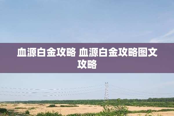 血源白金攻略 血源白金攻略图文攻略