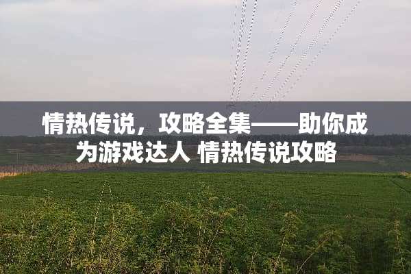 情热传说，攻略全集——助你成为游戏达人 情热传说攻略
