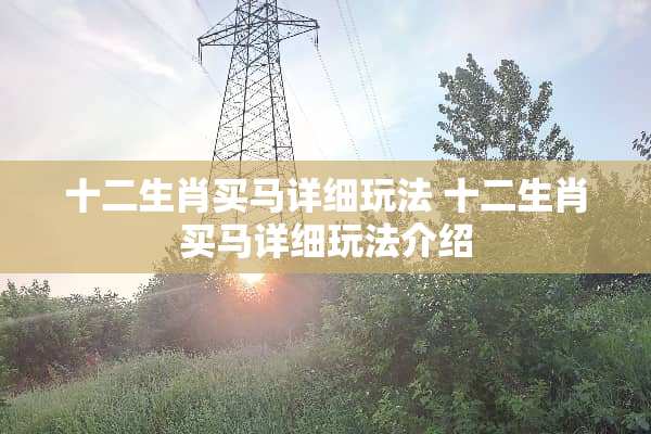 十二生肖买马详细玩法 十二生肖买马详细玩法介绍