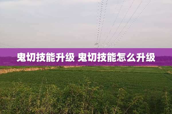 鬼切技能升级 鬼切技能怎么升级