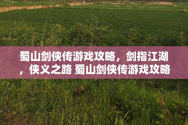 蜀山剑侠传游戏攻略，剑指江湖，侠义之路 蜀山剑侠传游戏攻略