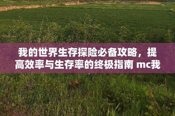 我的世界生存探险必备攻略，提高效率与生存率的终极指南 mc我的世界攻略
