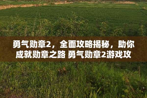 勇气勋章2，全面攻略揭秘，助你成就勋章之路 勇气勋章2游戏攻略答案