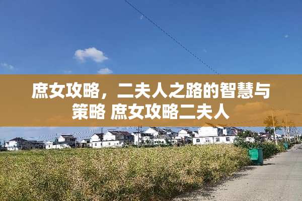 庶女攻略，二夫人之路的智慧与策略 庶女攻略二夫人