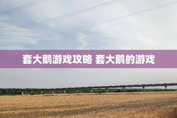 套大鹅游戏攻略 套大鹅的游戏