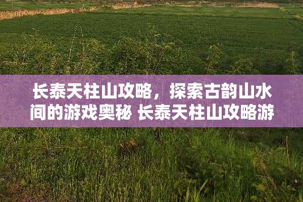 长泰天柱山攻略，探索古韵山水间的游戏奥秘 长泰天柱山攻略游戏