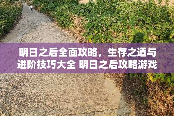 明日之后全面攻略，生存之道与进阶技巧大全 明日之后攻略游戏