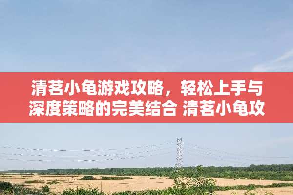 清茗小龟游戏攻略，轻松上手与深度策略的完美结合 清茗小龟攻略