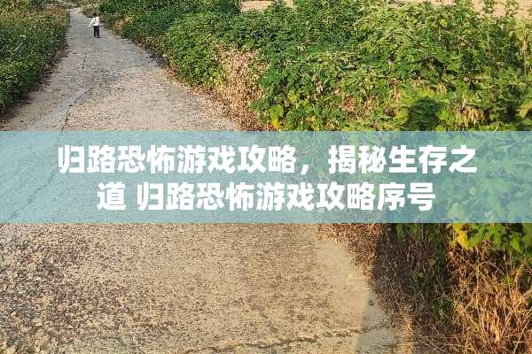 归路恐怖游戏攻略，揭秘生存之道 归路恐怖游戏攻略序号