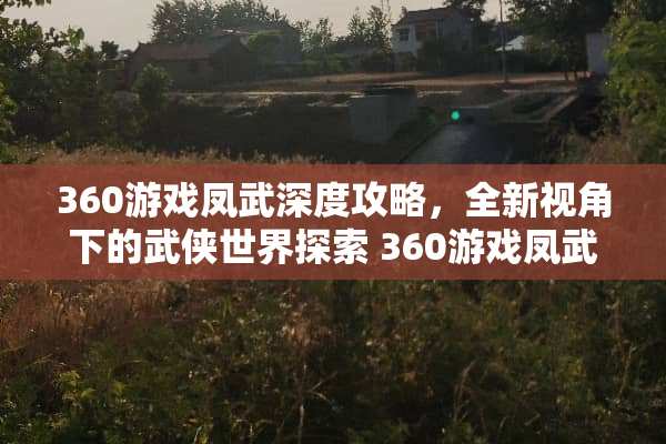 360游戏凤武深度攻略，全新视角下的武侠世界探索 360游戏凤武游戏攻略