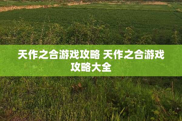 天作之合游戏攻略 天作之合游戏攻略大全