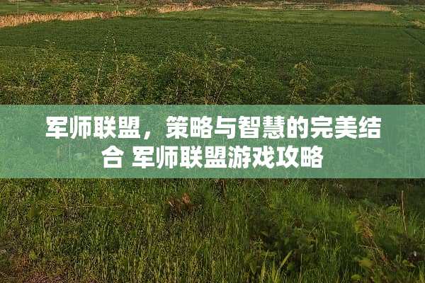 军师联盟，策略与智慧的完美结合 军师联盟游戏攻略