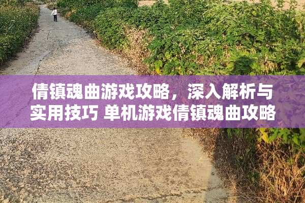 倩镇魂曲游戏攻略，深入解析与实用技巧 单机游戏倩镇魂曲攻略