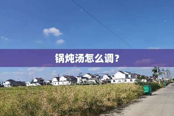 锅炖汤怎么调？