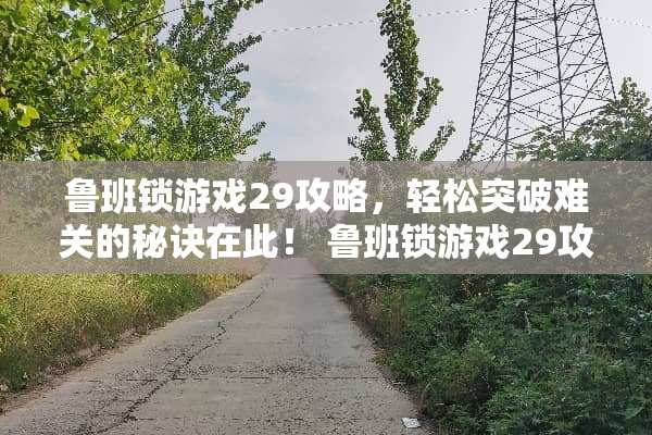 鲁班锁游戏29攻略，轻松突破难关的秘诀在此！ 鲁班锁游戏29攻略