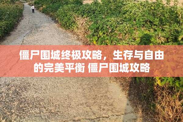 僵尸围城终极攻略，生存与自由的完美平衡 僵尸围城攻略