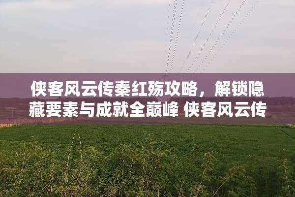 侠客风云传秦红殇攻略，解锁隐藏要素与成就全巅峰 侠客风云传秦红殇攻略