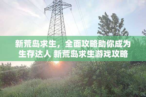 新荒岛求生，全面攻略助你成为生存达人 新荒岛求生游戏攻略