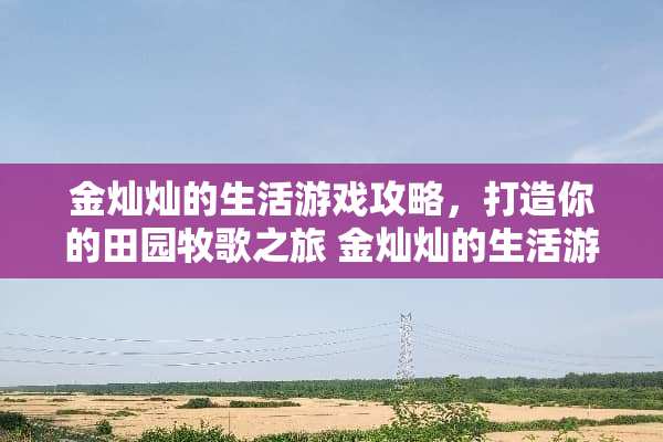 金灿灿的生活游戏攻略，打造你的田园牧歌之旅 金灿灿的生活游戏攻略
