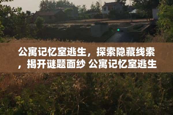 公寓记忆室逃生，探索隐藏线索，揭开谜题面纱 公寓记忆室逃生游戏攻略