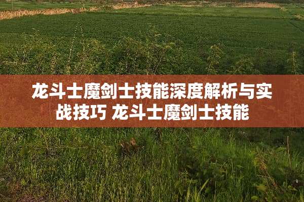 龙斗士魔剑士技能深度解析与实战技巧 龙斗士魔剑士技能