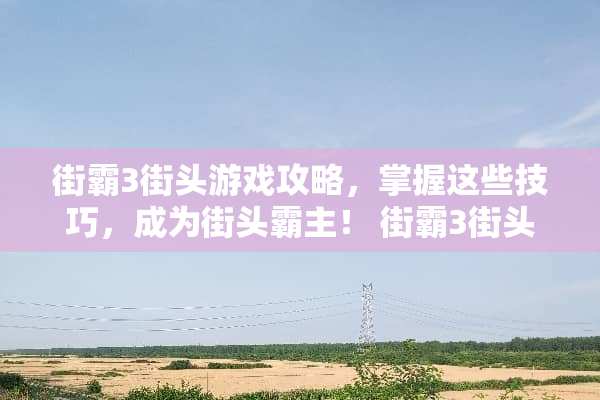 街霸3街头游戏攻略，掌握这些技巧，成为街头霸主！ 街霸3街头游戏攻略