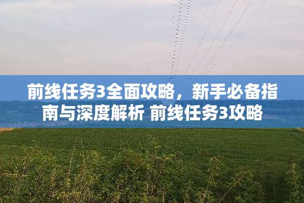 前线任务3全面攻略，新手必备指南与深度解析 前线任务3攻略