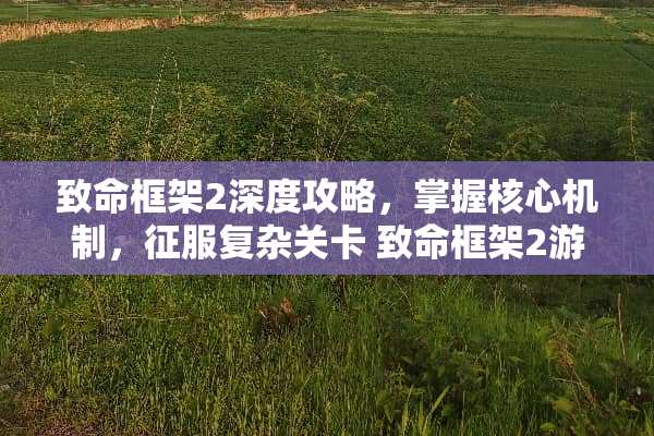 致命框架2深度攻略，掌握核心机制，征服复杂关卡 致命框架2游戏攻略