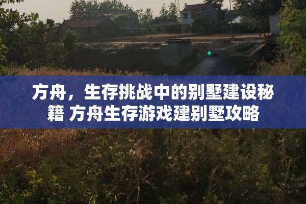 方舟，生存挑战中的别墅建设秘籍 方舟生存游戏建别墅攻略