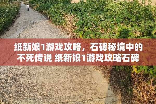 纸新娘1游戏攻略，石碑秘境中的不死传说 纸新娘1游戏攻略石碑
