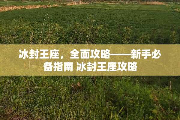 冰封王座，全面攻略——新手必备指南 冰封王座攻略