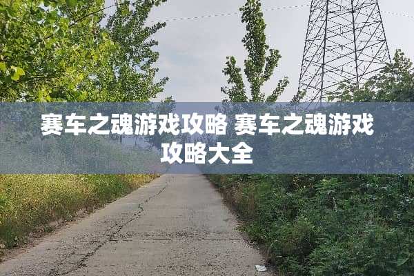 赛车之魂游戏攻略 赛车之魂游戏攻略大全