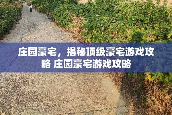 庄园豪宅，揭秘**豪宅游戏攻略 庄园豪宅游戏攻略