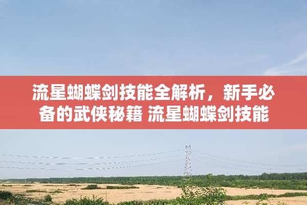 流星蝴蝶剑技能全解析，新手必备的武侠秘籍 流星蝴蝶剑技能