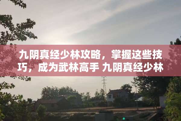 九*真经少林攻略，掌握这些技巧，成为武林高手 九*真经少林攻略