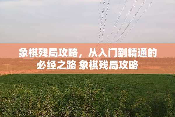 象棋残局攻略，从入门到精通的必经之路 象棋残局攻略