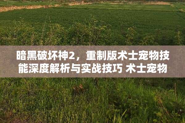 暗黑破坏神2，重制版术士宠物技能深度解析与实战技巧 术士宠物技能