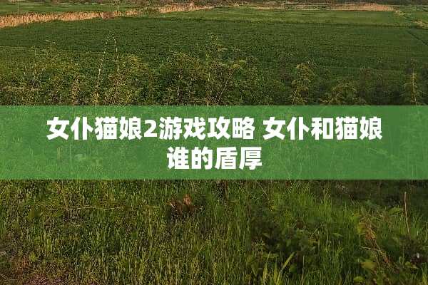 女仆猫娘2游戏攻略 女仆和猫娘谁的盾厚