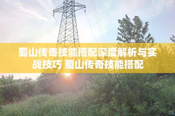 蜀山传奇技能搭配深度解析与实战技巧 蜀山传奇技能搭配