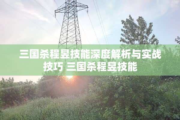 三国杀程昱技能深度解析与实战技巧 三国杀程昱技能