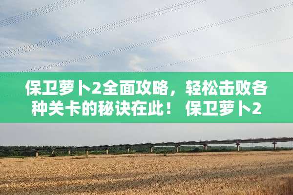 保卫萝卜2全面攻略，轻松击败各种关卡的秘诀在此！ 保卫萝卜2攻略25