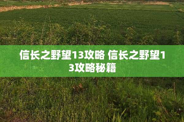 信长之野望13攻略 信长之野望13攻略秘籍