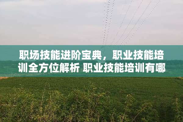 职场技能进阶宝典，职业技能培训全方位解析 职业技能培训有哪些