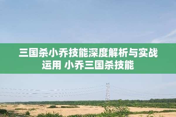 三国杀小乔技能深度解析与实战运用 小乔三国杀技能