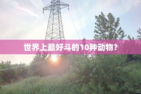 世界上最好斗的10种动物？