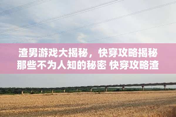 渣男游戏大揭秘，快穿攻略揭秘那些不为人知的秘密 快穿攻略渣男游戏txt