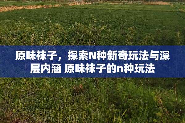 **袜子，探索N种新奇玩法与深层内涵 **袜子的n种玩法