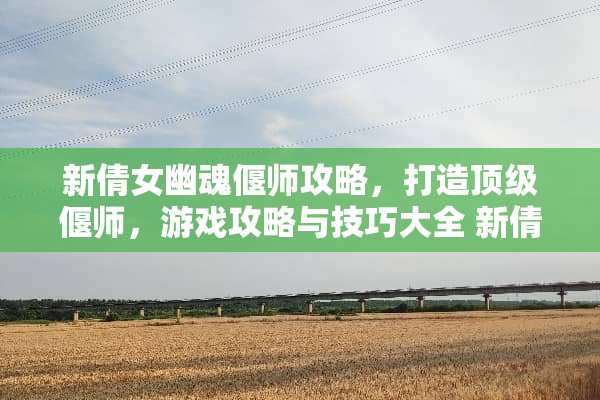新倩女幽魂偃师攻略，打造**偃师，游戏攻略与技巧大全 新倩女幽魂偃师攻略